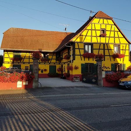 Maison Alsacienne A Andolsheim Apartamento Exterior foto